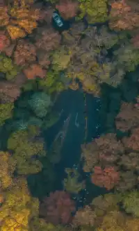 暮秋風起染金陵 我拍到一整個南京的秋天