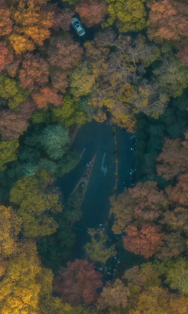 暮秋風起染金陵 我拍到一整個南京的秋天 暮秋風起染金陵 我拍到一整個南京的秋天