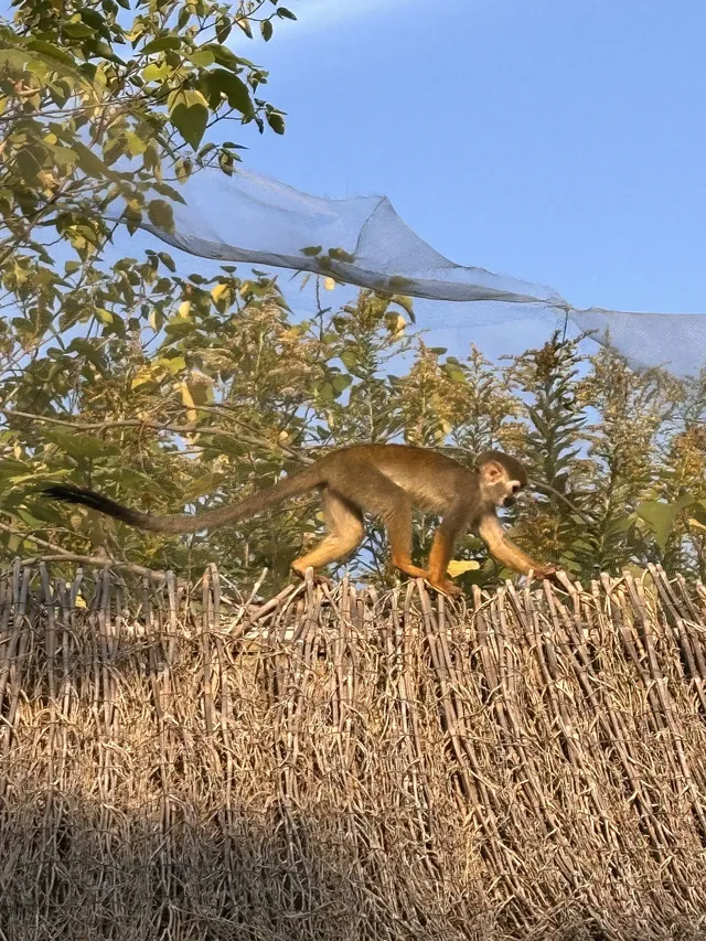 湖州龍之夢遛娃記|把假期過成沉浸式童話 湖州龍之夢遛娃記|把假期過成沉浸式童話