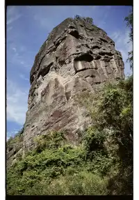 清冷武夷山，最宜岩骨花香漫步