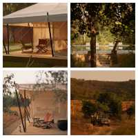 在安缦尋覓冬日暖陽