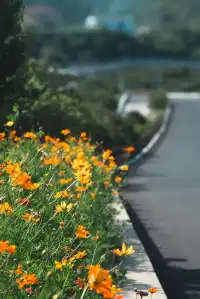 嵊泗 | 枸杞島 | 邂逅絕美日落