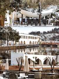 南山竹海!!!我的春節旅行地