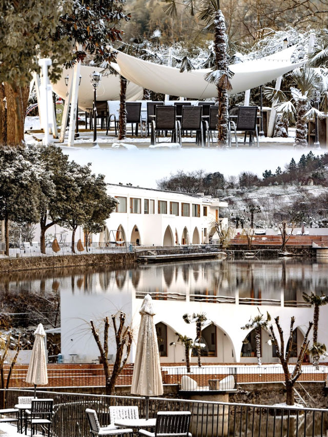 南山竹海!!!我的春節旅行地 南山竹海!!!我的春節旅行地