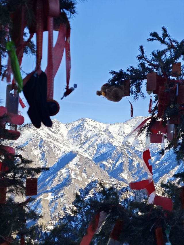 天山天池:在王母瑤臺間淬鍊億年寒玉的雲端鏡宮 天山天池:在王母瑤臺間淬鍊億年寒玉的雲端鏡宮
