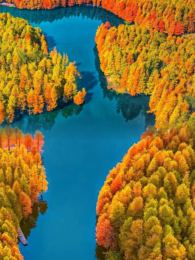 江蘇人嘴真嚴,這麼美的地方藏著不說~ 江蘇人嘴真嚴,這麼美的地方藏著不說~