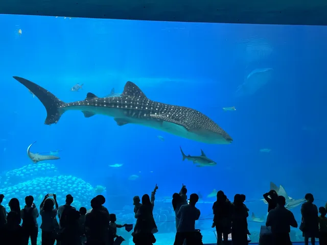 珠海!!!長隆海洋王國攻略吃喝一條龍~ 珠海!!!長隆海洋王國攻略吃喝一條龍~