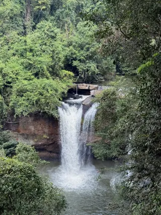 考艾國家森林公園徒步0難度（附攻略