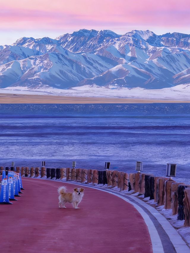 初冬阿勒泰｜雪域秘境中的極致曠野盛宴