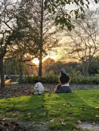 辰山植物園遛娃避坑指南｜新手爸媽直接抄