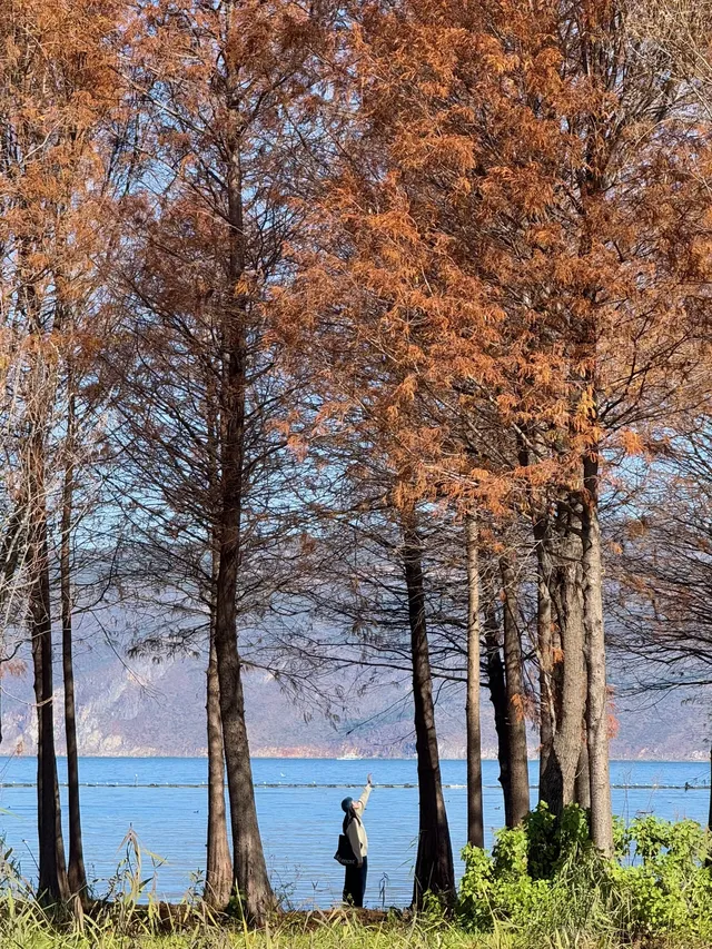 愛回收|來大理直接複製這條洱海一日遊路線! 愛回收|來大理直接複製這條洱海一日遊路線!