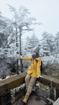 12.4實拍峨眉山的霧淞美瘋了