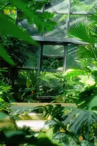 廈門植物園 | 像植物一樣呼吸