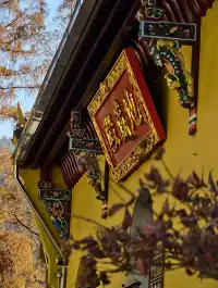 說走就走！九華山之旅