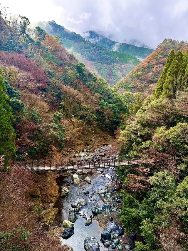 深秋橫斷九州--海拉魯大陸的紅葉狩