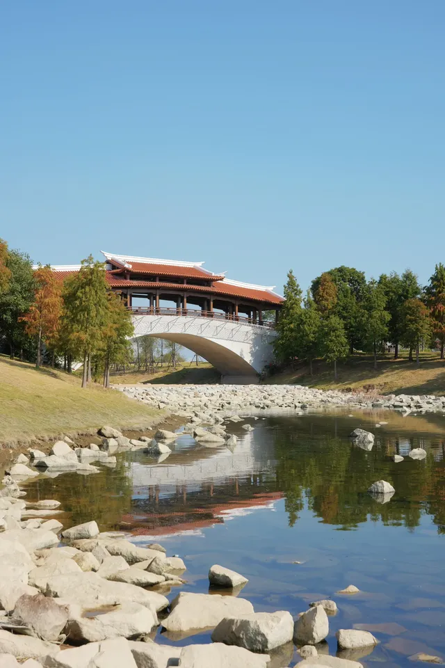 在廈門馬銮灣一起走三角梅花路啦! 在廈門馬銮灣一起走三角梅花路啦!