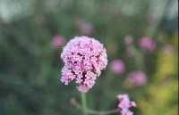 靜安雕塑公園必玩攻略治癒系路線