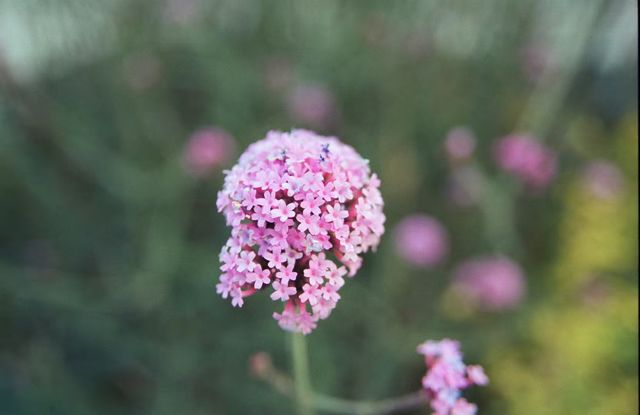 靜安雕塑公園必玩攻略治癒系路線 靜安雕塑公園必玩攻略治癒系路線