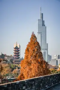 在明城牆解放門,我拍到了最金陵的秋天!