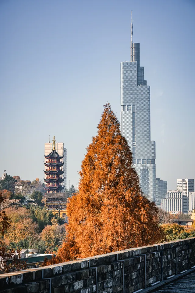 在明城牆解放門,我拍到了最金陵的秋天! 在明城牆解放門,我拍到了最金陵的秋天!