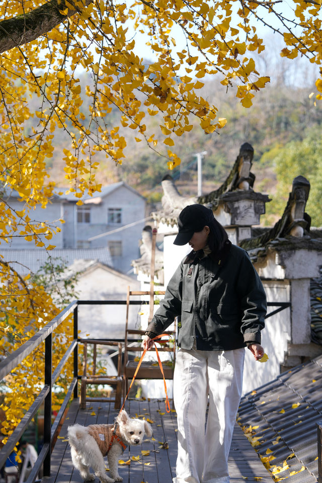 尋訪千島湖畔700年徽派古村——芹川