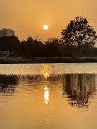 上海植物園紅葉撿秋墜美機位