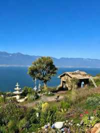 小眾浪漫天花板