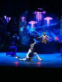 張家界三天兩晚遊|看山看水看千古情