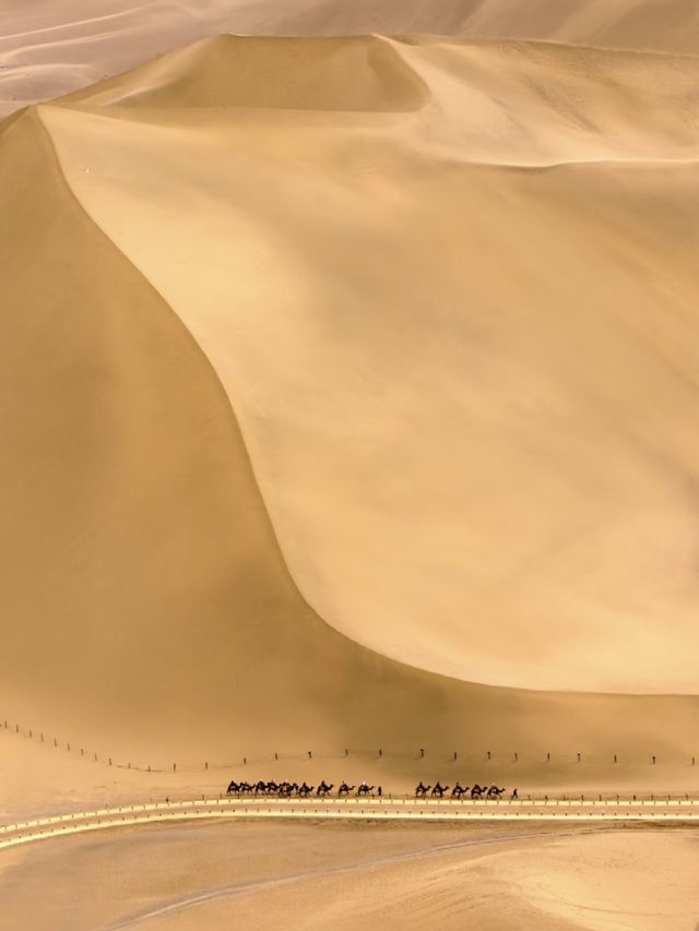 中國最孤獨的孩子—大地之子! 中國最孤獨的孩子—大地之子!