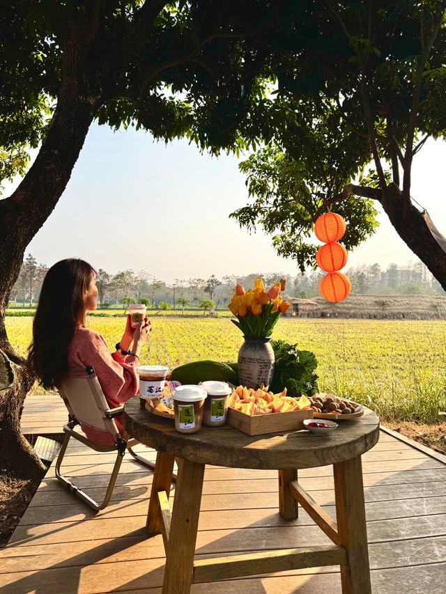 逃離城市在蓮江山禾解鎖田園慢時光