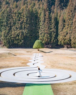 การเดินทางเพื่อการเยียวยาของนารา สามวันสองคืน พร้อมกับการรำของกวาง