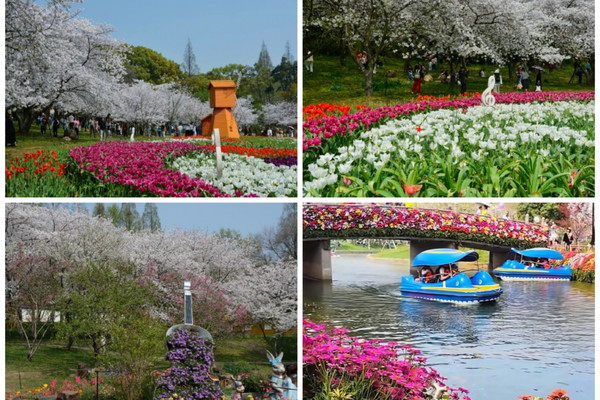 2026 Suzhou Flower Show: Shangfang Mountain · Blooming Suzhou