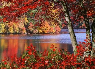 Fragrant Burner Mountain's Early Autumn Oil Painting-Level Autumn Scenery