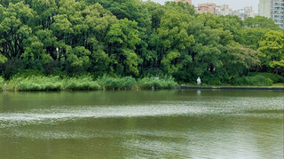 Beautiful even on a rainy day! Summer Sun Lake Spring Walk Check-in Guide