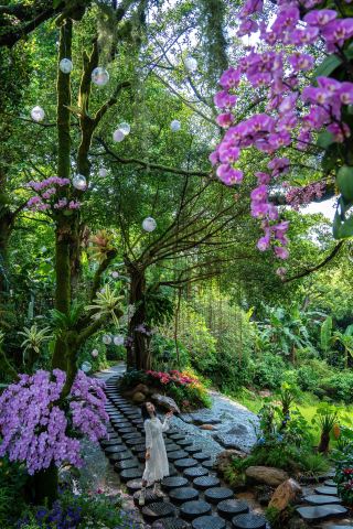 Welcome to a dream tour of Alice's Wonderland, Qingxiu Mountain's Wizard of Oz route~ Absolutely amazing, no backtracking for May Day!