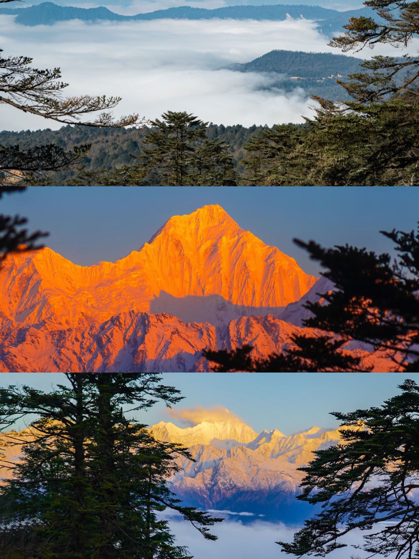 Capture the snowy mountains and sea of clouds all at once! This viewing platform facing Gongga Mountain is breathtakingly beautiful～