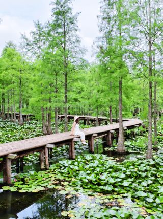 Cool off and breathe fresh air, boat among lotus flowers, and enjoy a night tour encountering a secret world of fireflies