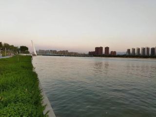 この不思議な旅の中で、やりたいことをするのに複雑な計画は必要ないことに気づくはず。道ばたで立ち止まって猫を撫でる、それでもいいのです。