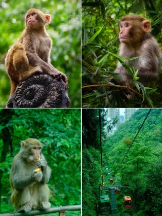 Just back from Guiyang｜22°C summer paradise! Must-visit guide for July and August