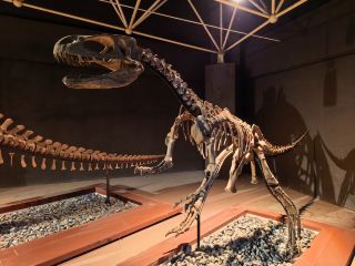 A must-see for dinosaur fans! A real experience report from World Dinosaur Valley