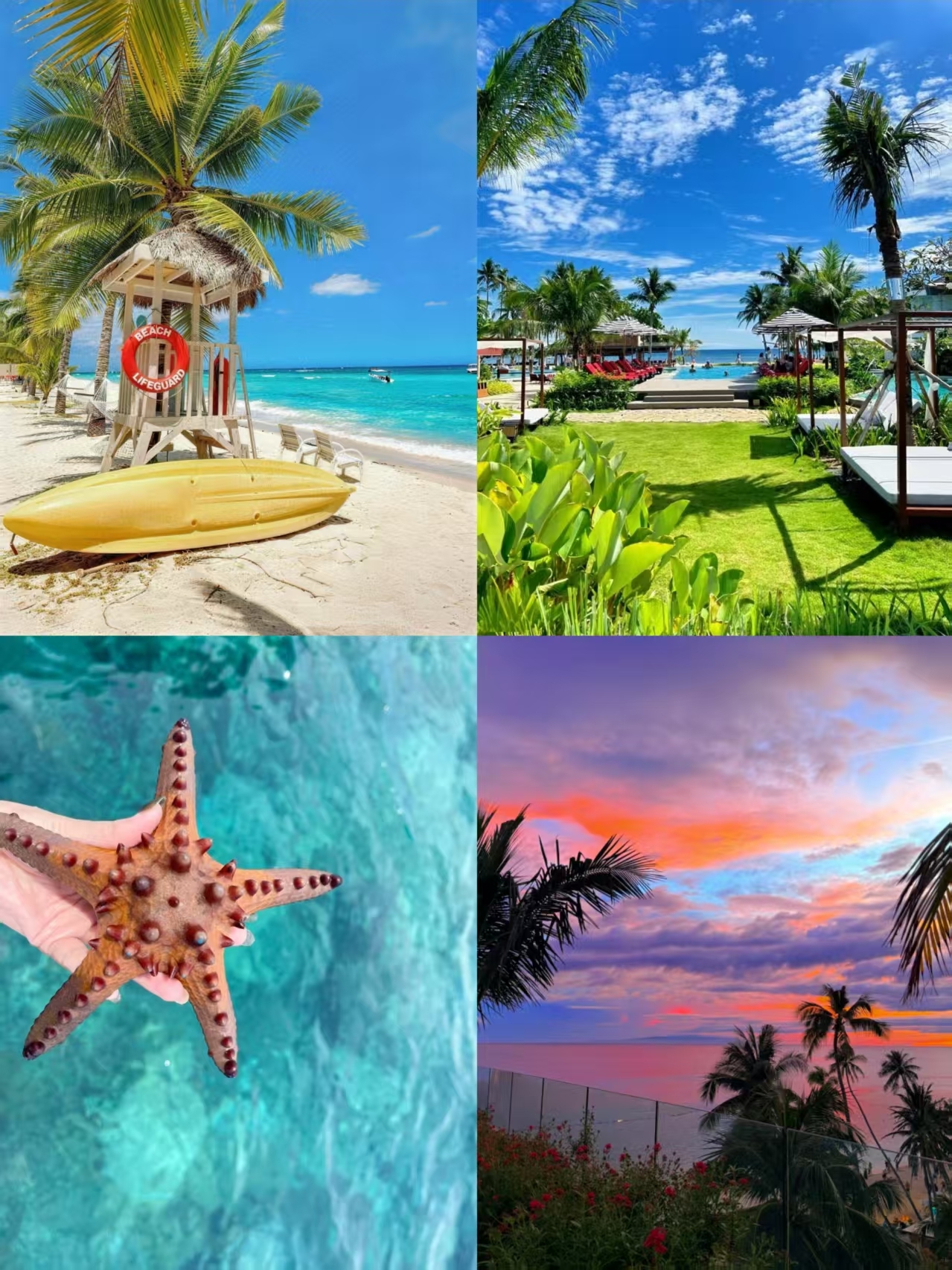 Vừa trở về! Khám phá trọn vẹn Bohol: Khỉ lùn Tarsier + du ngoạn các đảo, không quay lại điểm xuất phát.