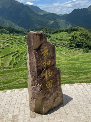 Deep tour of Yunhe terraced fields, East China's largest millennium-old terraces! Experience a sea of clouds sunrise