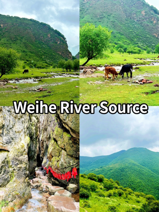 Gansu Dingxi 3-day self-driving guide｜Weihe source · Zheyang Mountain · Guiqing Mountain · Lijia Longgong · Langdu wetland grassland  3 days 2 nights self-driving without backtracking