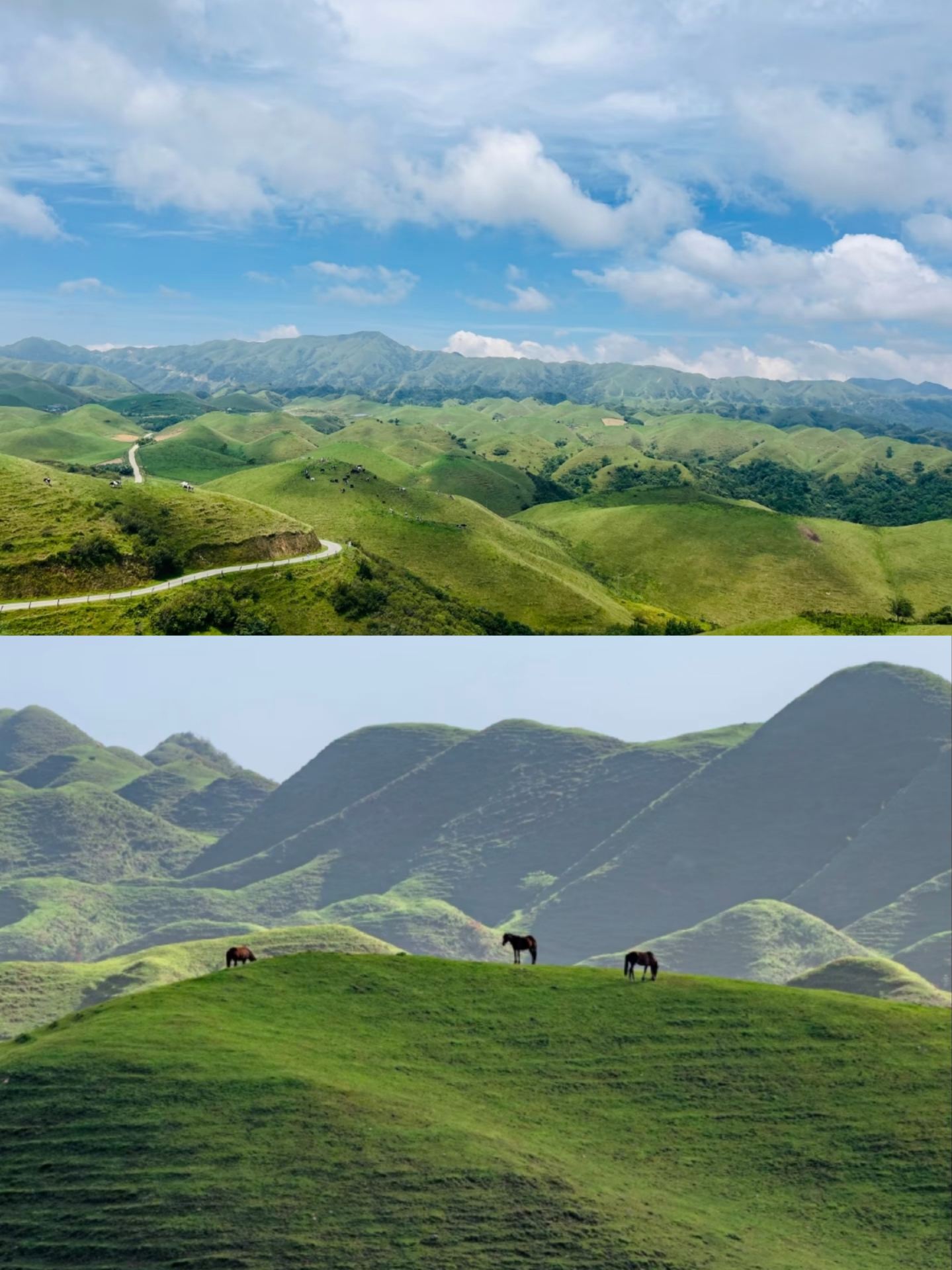 No need to travel all the way to Inner Mongolia—Hunan hides a "Little Hulunbuir of the South" | Summer escape to Nanshan Pasture, Chengbu