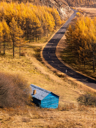 Праздничный Аргунь | Золотая осень в парке Водно-болотных угодий вдали от толп