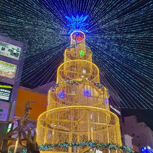 부산 남포 겨울빛 트리축제 ❣️