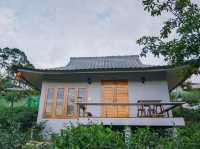 พักผ่อนสบายๆในไร่ชา ณ บ้านรักไทย