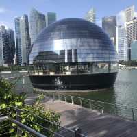 Walking along the Merlion park