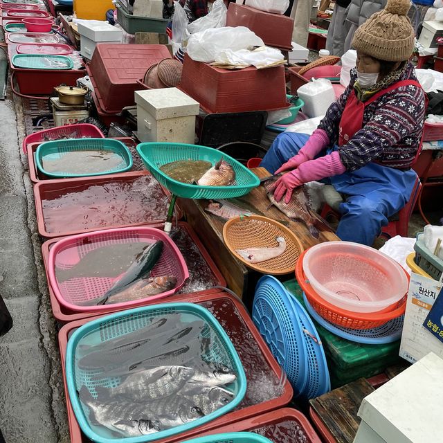 통영 회 저렴하고 배불리 먹을 수 있는곳