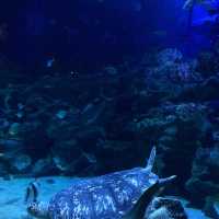 Aquaria KLCC